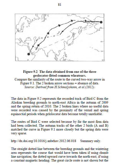 wheatear migration data